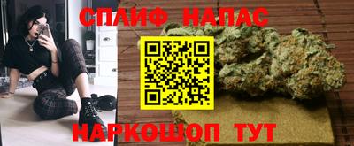 jwh Моздок