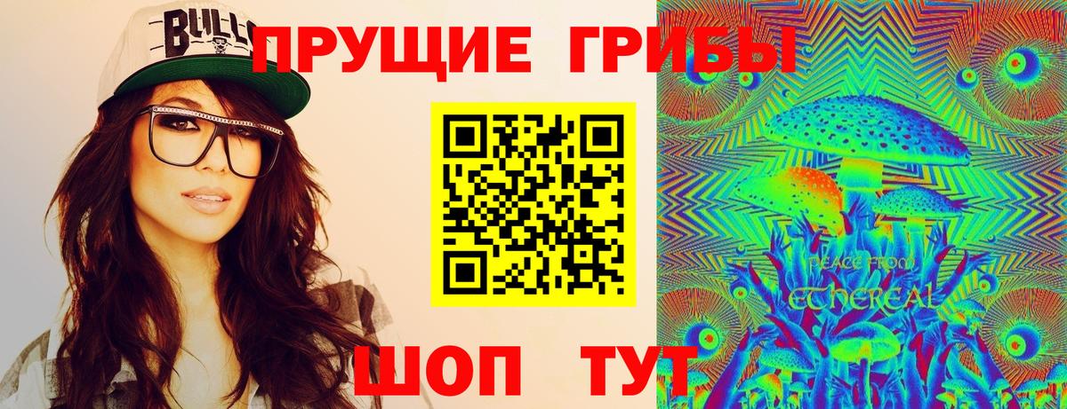Губкин  Псилоцибиновые грибы прущие грибы  Вход с VPN 