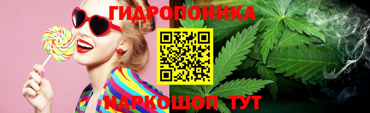 Каннабис гибрид Губкин